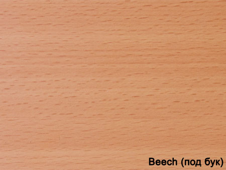 beech